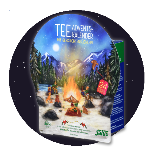 Weihnachtsbild Salus Tee Adventskalender