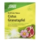 Preview: Salus Cistus Granatapfel Kräutertee 15FB