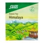 Preview: Salus Grüner Tee Himalaya 15 FB