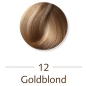 Mobile Preview: Sanotint Classic Haarfarbe 12 Goldblond-1