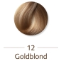 Preview: Sanotint Classic Haarfarbe 12 Goldblond-1