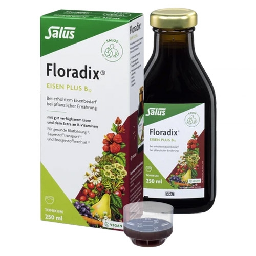 Salus Floradix Eisen plus B12 vegan 250ml