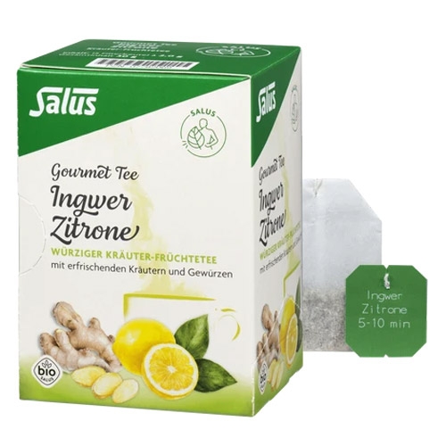 Salus Gourmet Ingwer Zitrone Kräuter-Früchtetee 15FB