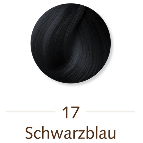 Sanotint Classic Haarfarbe 17 Schwarzblau-1