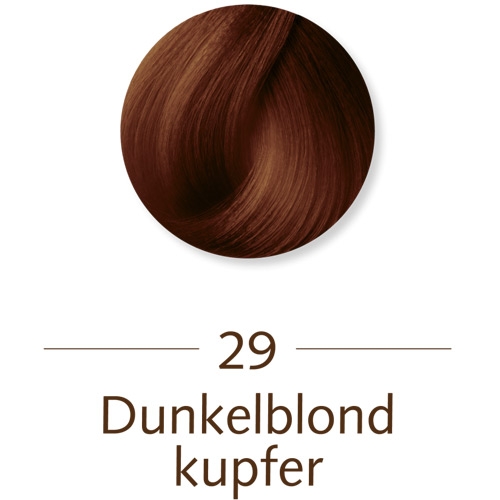 Sanotint Classic Haarfarbe 29 Dunkelblond Kupfer-1