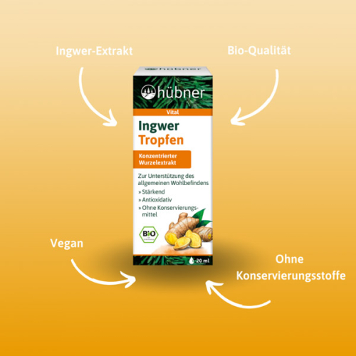 hübner Ingwer Tropfen 20 ml