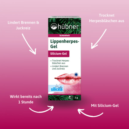 USP des hübner Lippenherpes-Gel