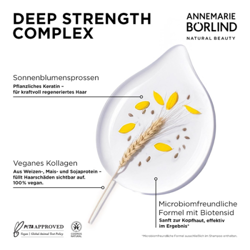 Wirkstoffe der BÖRLIND HAIR CARE Repair Serie