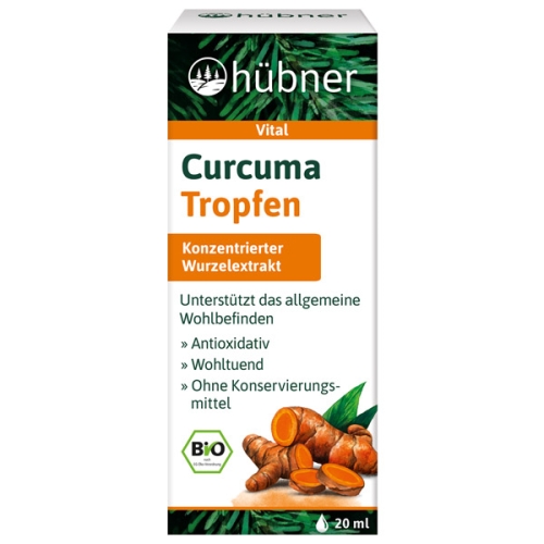 hübner Curcuma Tropfen bio 20 ml