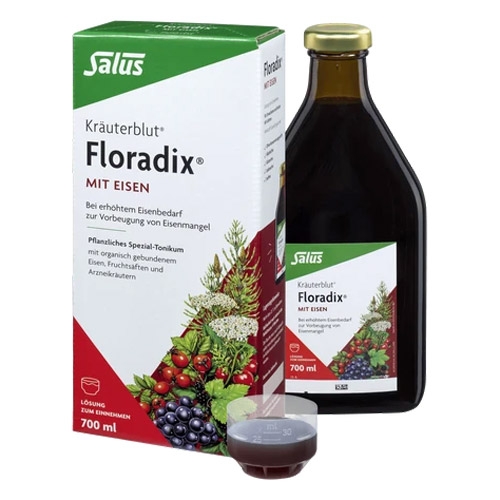 Salus Floradix mit Eisen 700ml