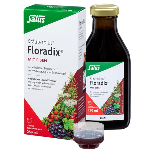 Salus Floradix mit Eisen 250ml