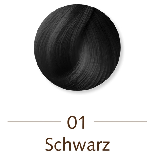 Sanotint Classic Haarfarbe 01 Schwarz-1