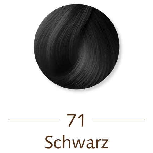 Sanotint Light Haarfarbe 71 Schwarz-1