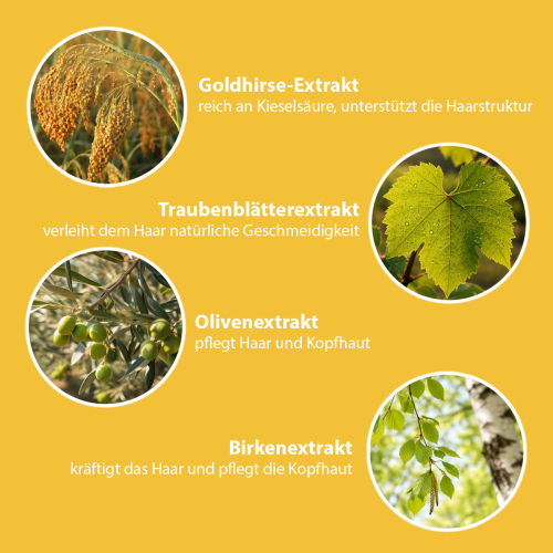 Haarfarbe mit Pflanzenextrakten – Goldhirse, Traubenblätter, Olive und Birke
